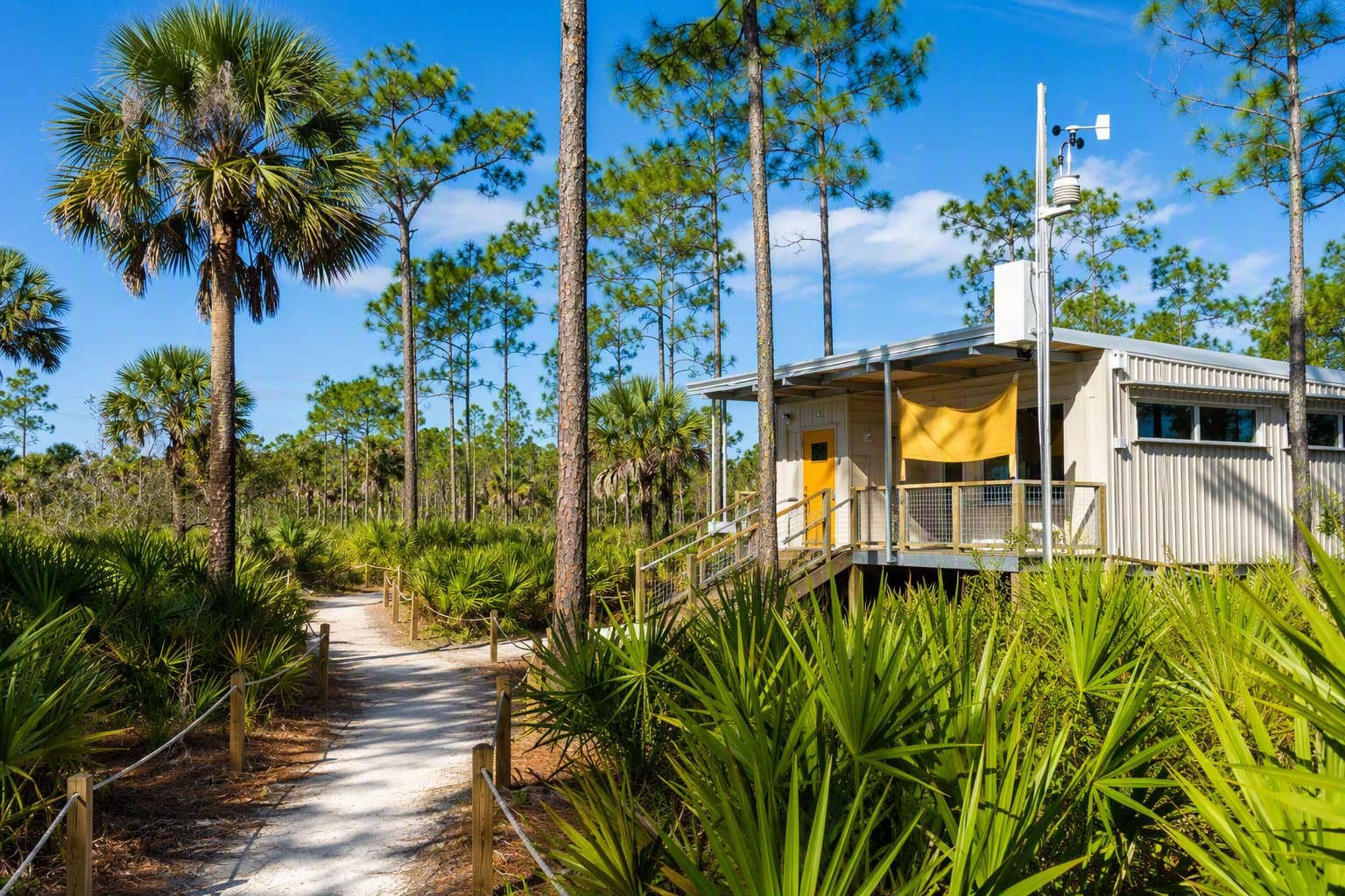 Florida Wildlife Study - illustration, Jake Team LLC